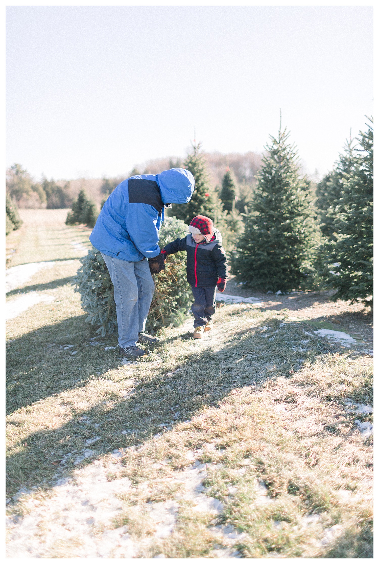 Cutting down our Christmas Tree at Aissen Tree Farm in Kewaunee | The ...