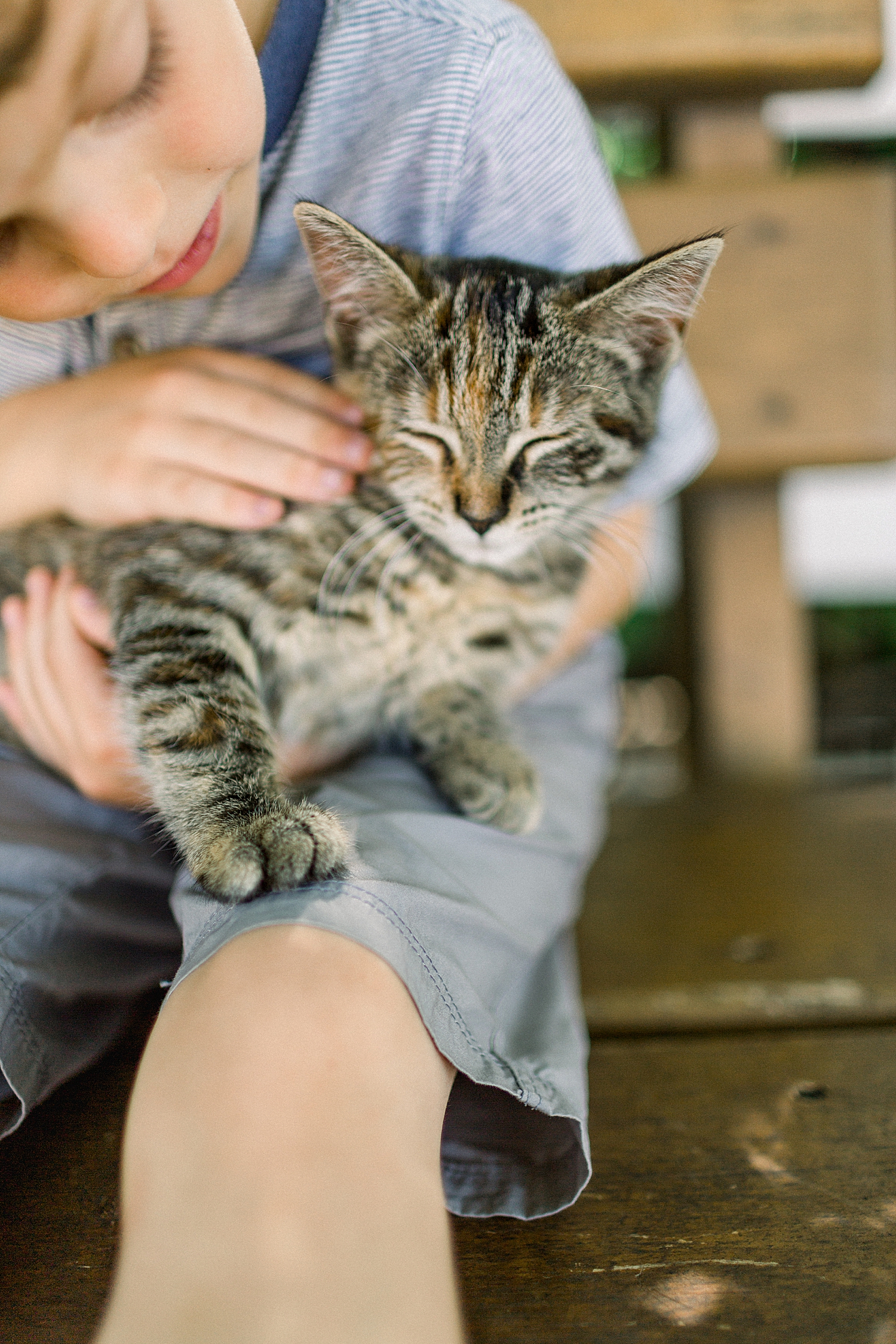 Small boy holding a kitten at The Farm in Sturgeon Bay, Door County Travel Guide