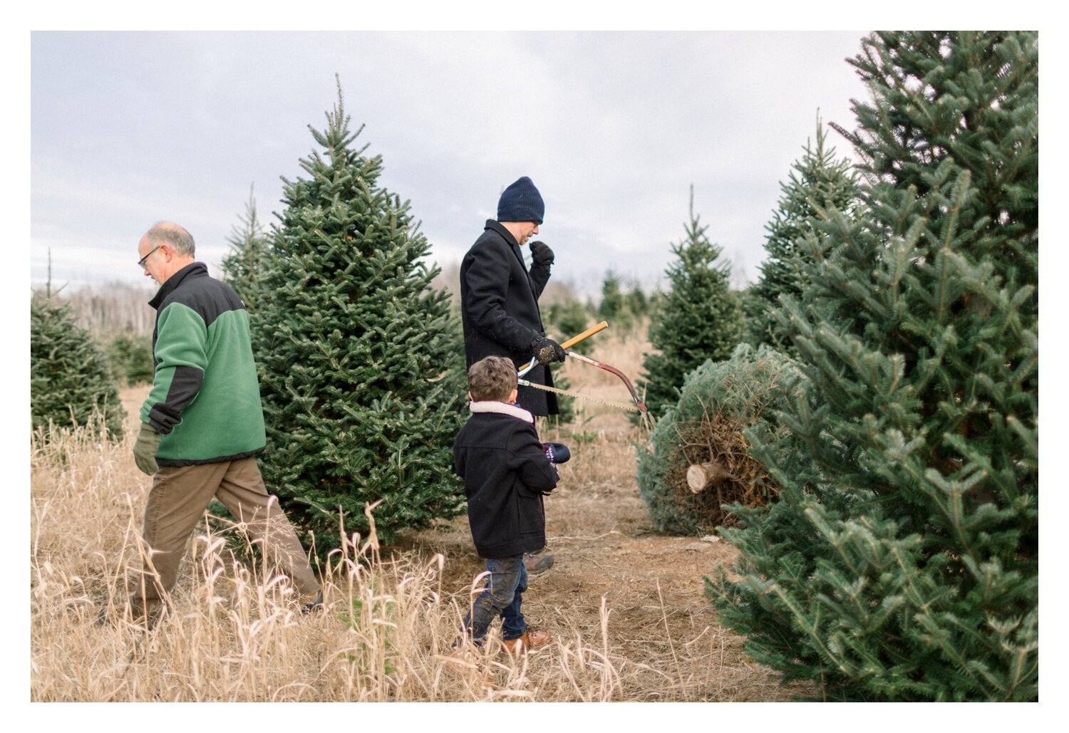 Cutting down our Christmas Tree at Whispering Pines Tree Farm 2019 ...