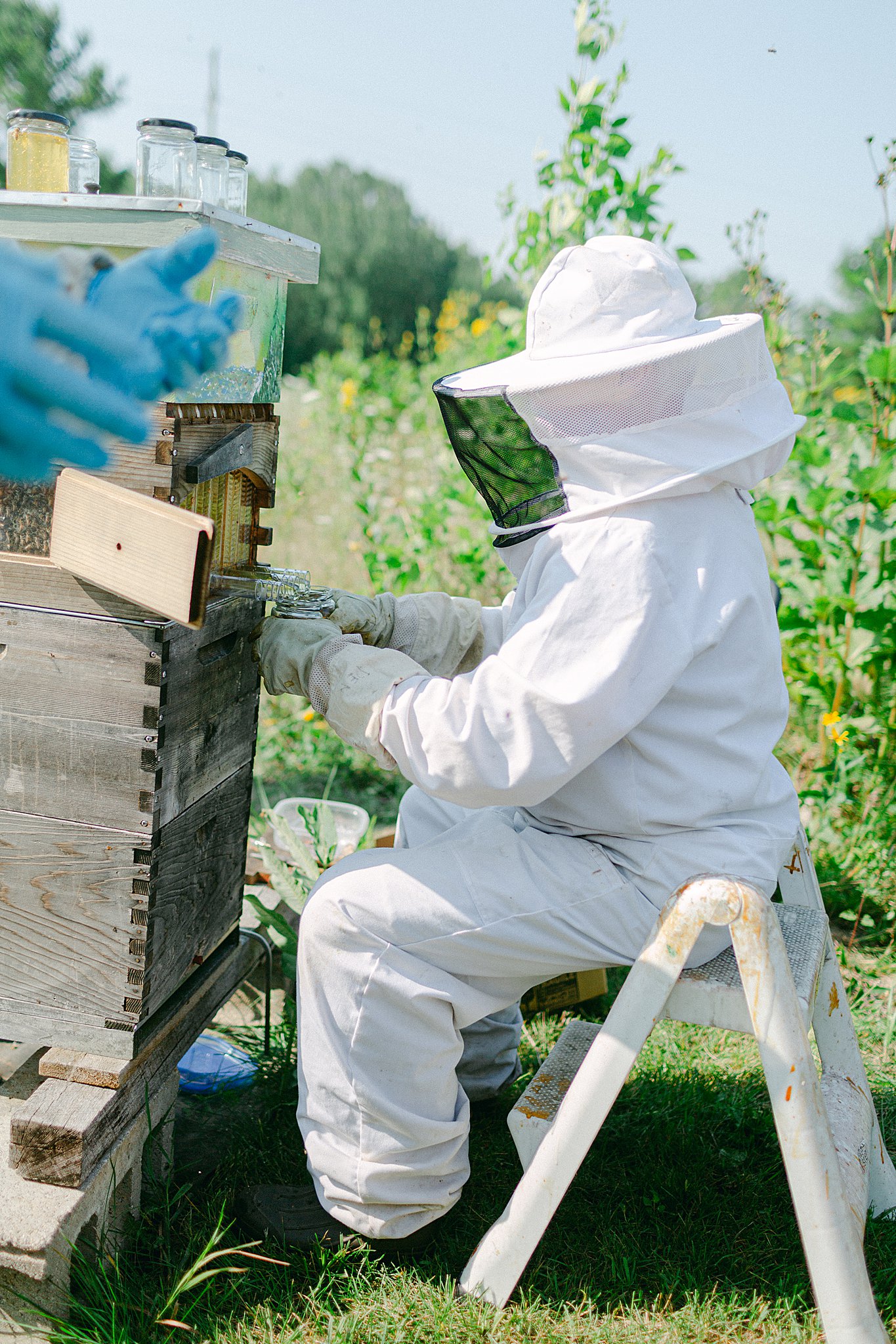 The beekeeper extracting honey from the hive at the Honey Harvest at Crossroads